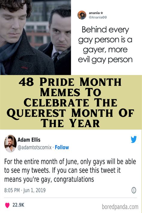 48 Pride Month Memes To Celebrate The Queerest .